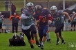 Thumbs/tn_IMG_6216.jpg