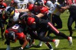 Thumbs/tn_IMG_6718.jpg