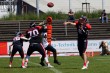 Thumbs/tn_IMG_6797.jpg
