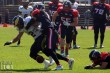Thumbs/tn_IMG_6896.jpg