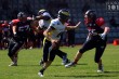 Thumbs/tn_IMG_6926.jpg
