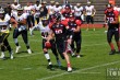 Thumbs/tn_IMG_7228.jpg