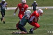Thumbs/tn_IMG_0414.jpg