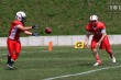Thumbs/tn_IMG_0443.jpg