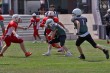Thumbs/tn_IMG_0505.jpg