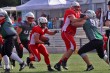 Thumbs/tn_IMG_0622.jpg