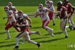 Thumbs/tn_IMG_1816.jpg