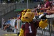 Thumbs/tn_IMG_2006.jpg