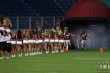 Thumbs/tn_IMG_3505.jpg