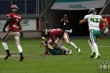 Thumbs/tn_IMG_3616.jpg