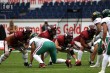 Thumbs/tn_IMG_4115.jpg