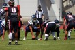 Thumbs/tn_IMG_5333.jpg