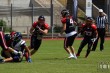 Thumbs/tn_IMG_5352.jpg