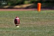 Thumbs/tn_IMG_8278.jpg