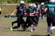 Thumbs/tn_IMG_8293.jpg