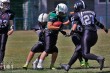 Thumbs/tn_IMG_8307.jpg