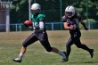 Thumbs/tn_IMG_8331.jpg