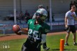 Thumbs/tn_IMG_8336.jpg