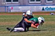 Thumbs/tn_IMG_8355.jpg