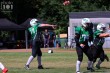 Thumbs/tn_IMG_8358.jpg