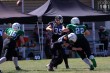 Thumbs/tn_IMG_8374.jpg