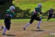 Thumbs/tn_IMG_8379.jpg