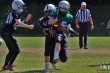 Thumbs/tn_IMG_8435.jpg