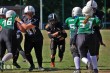 Thumbs/tn_IMG_8508.jpg