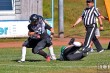 Thumbs/tn_IMG_8580.jpg
