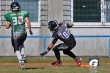 Thumbs/tn_IMG_8601.jpg