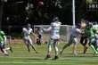 Thumbs/tn_IMG_8842.jpg