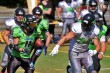 Thumbs/tn_IMG_9033.jpg