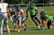 Thumbs/tn_IMG_9117.jpg