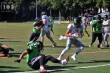 Thumbs/tn_IMG_9161.jpg