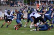 Thumbs/tn_JMG_0513.jpg