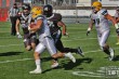 Thumbs/tn_IMG_4491.jpg
