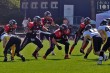 Thumbs/tn_IMG_5038.jpg