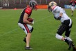 Thumbs/tn_IMG_7595.jpg