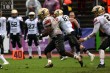 Thumbs/tn_IMG_7676.jpg