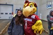 Thumbs/tn_IMG_7895.jpg