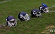 Thumbs/tn_IMG_8136.jpg