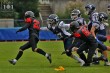 Thumbs/tn_IMG_8201.jpg