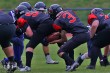 Thumbs/tn_IMG_8203.jpg