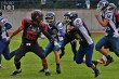 Thumbs/tn_IMG_8266.jpg