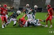 Thumbs/tn_IMG_0363.jpg