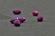 Thumbs/tn_IMG_3429.jpg