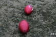 Thumbs/tn_IMG_5554.jpg