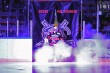 Thumbs/tn_IMG_7605.jpg