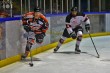 Thumbs/tn_IMG_7725.jpg