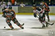 Thumbs/tn_IMG_7804.jpg